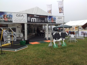 Award winning stand